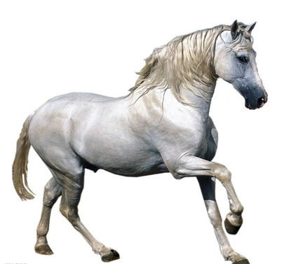 辦公室香草视频APP成人馬.jpg
