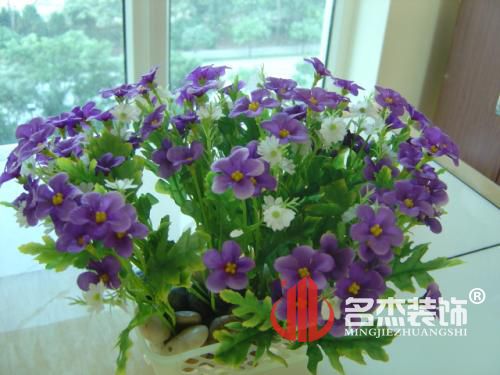 辦公室香草视频APP成人.jpg