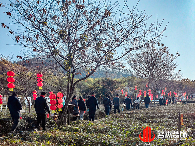 香草视频APP成人公司