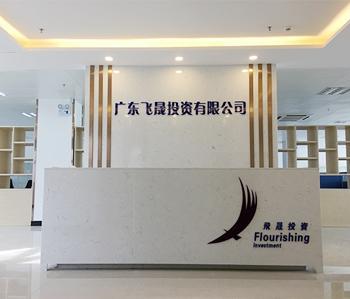 祝賀飛仕商城辦公室香草视频APP成人項目完工